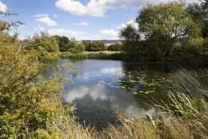 ben bailey redhouse park view to development 1 sm.jpg